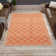 Ferrill Rust/Cream Area Rug
