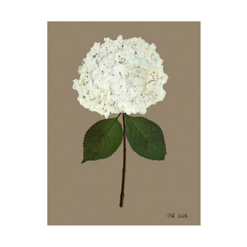 Pressed Hydrangea Set by Sandy Whitaker, 35" H x 26.5" W, Antique Gold