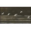 Flock Together 2 Painting by Thom Filicia
