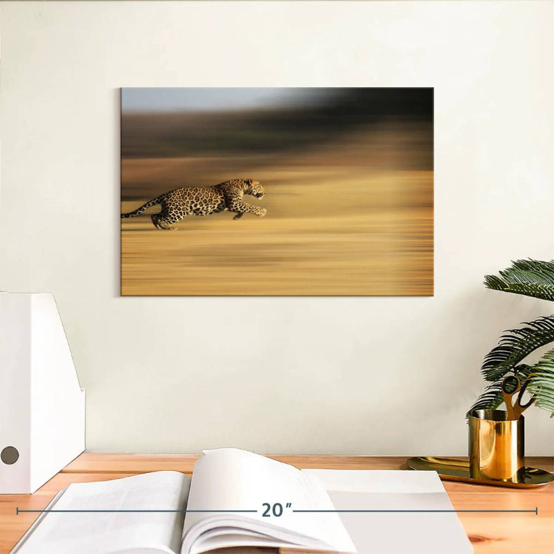 Crowle Leopard Sprint, 8" H x 12" W