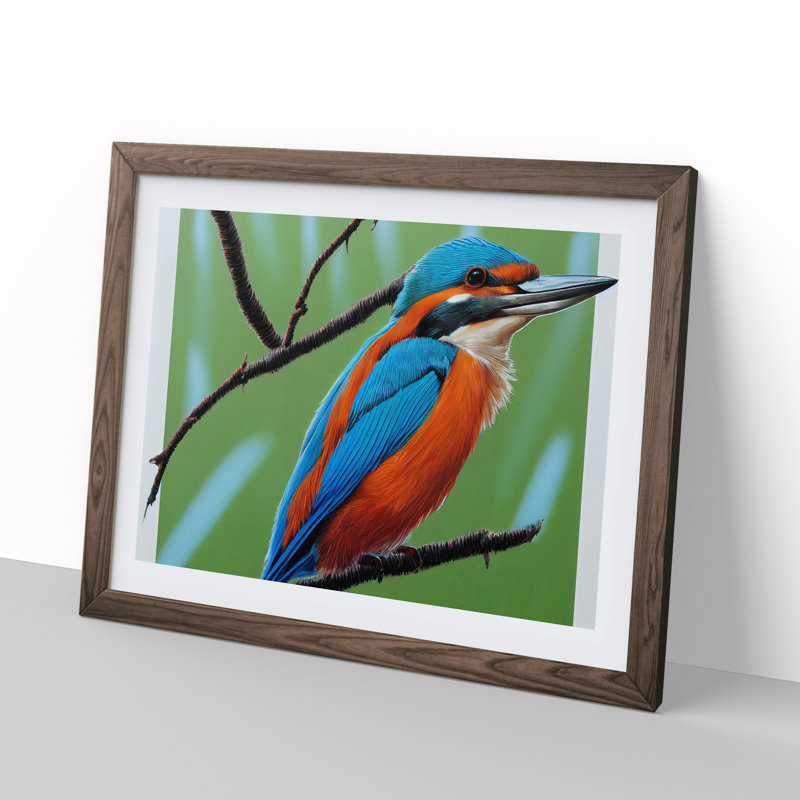 XH1022-7287X Radiant Kingfisher Bird - Single Picture Frame Print, 25cm H x 34cm W x 2cm D, Walnut Framed
