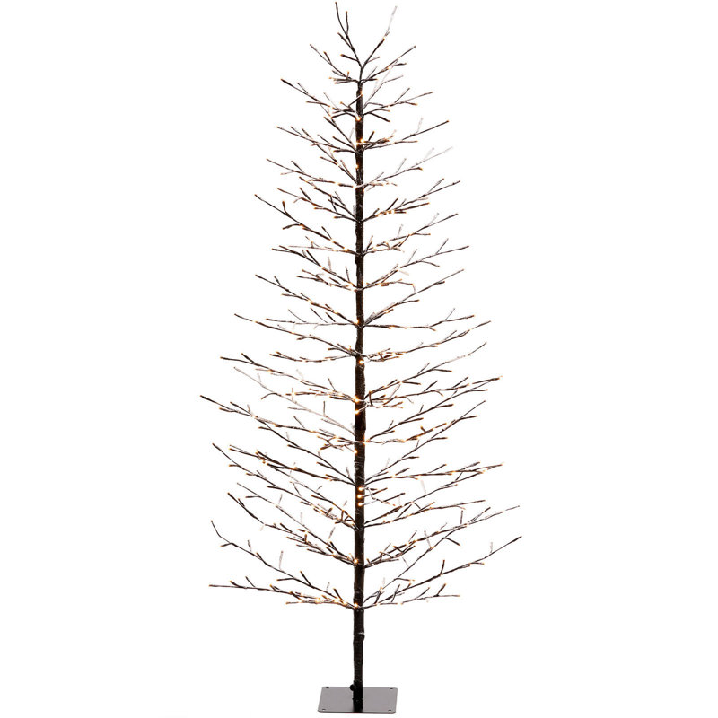 Lighted Trees & Branches