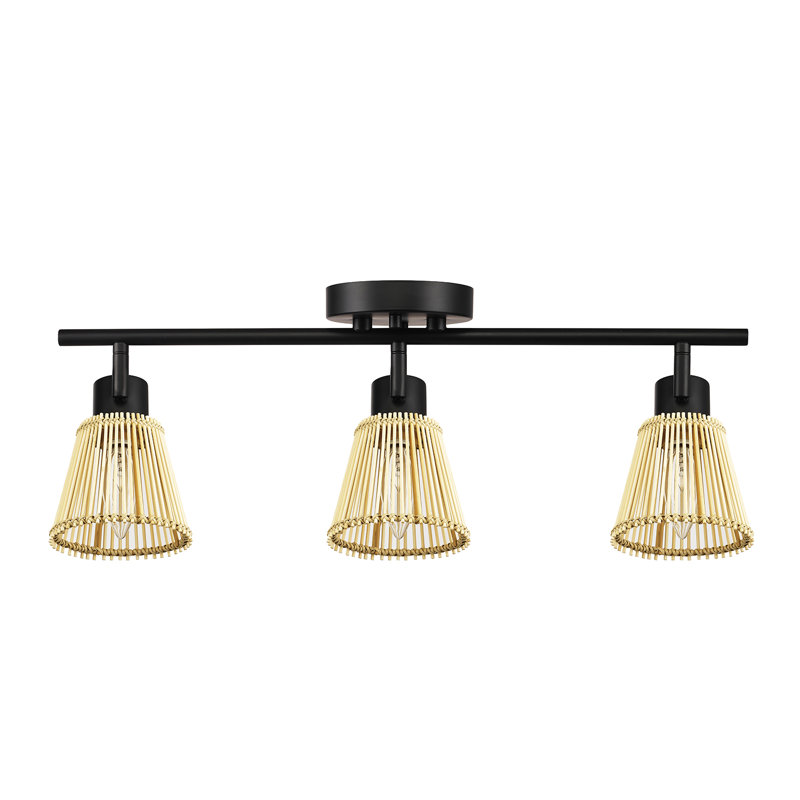 Afreena 3 -Light Fixed Track Track Kit with Dimmable and Adjustable Head, 6.88" H x 22" L x 4.75" D, Black