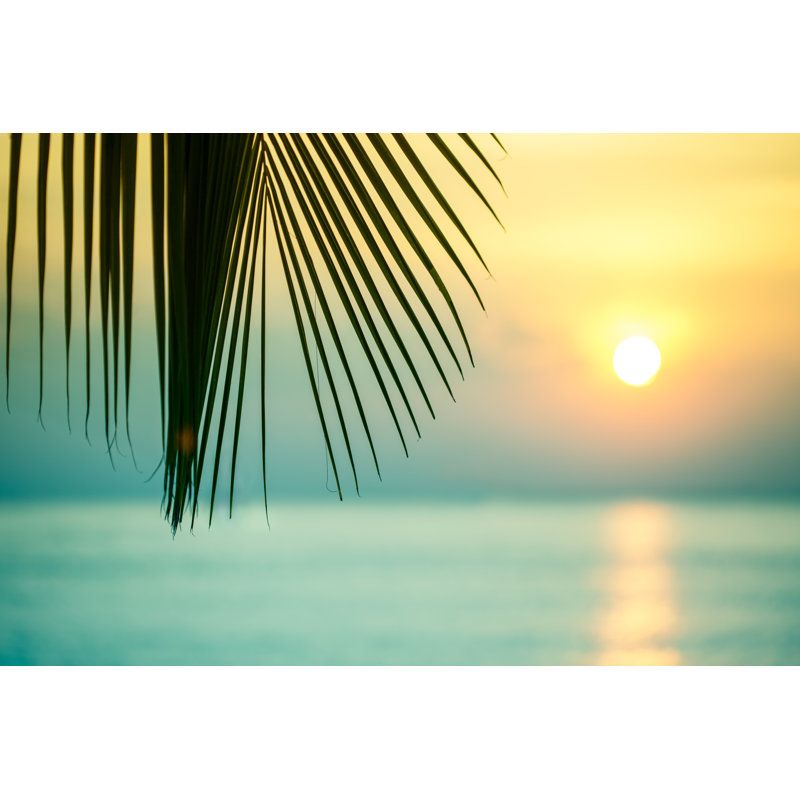 Beautiful Tropical Sunset by Jasmina007, 12" H x 18" W