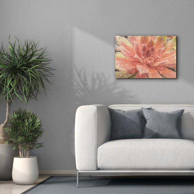 Toile épique Graffiti «Droplet Of The Desert 2» par Life BeautifuLEE, 26 po x 18 po, H 18 po x l 26 po