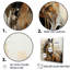 Cheval, liberté symbolique - impression sur toile-568670037-568670044