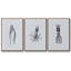 Marine Life, ensemble de 3 pièces encadrées sur toile-700303264-700303266