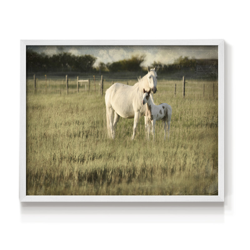 Mare and Colt -Framed Print - Restickable, H 11 po x l 14 po, Blanc