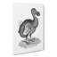 Dodo in Black & White by George Shaw - Wrapped Canvas Drawing - Wrapped Canvas-55342796