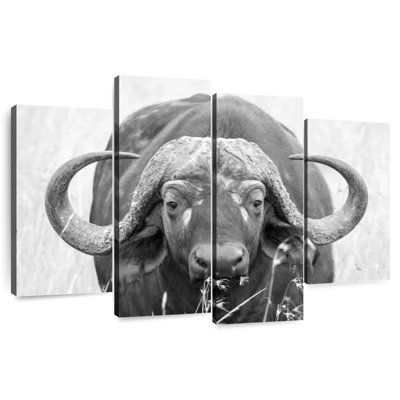 Giant Buffalo Safari