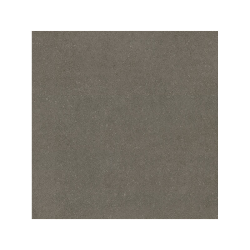 Betonica 24 in. x 24 in. Matte Porcelain Concrete Look Floor and Wall Tile, Steel