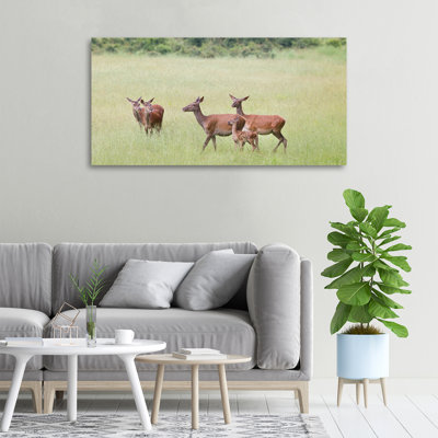 Roe With Young - Wrapped Canvas Print