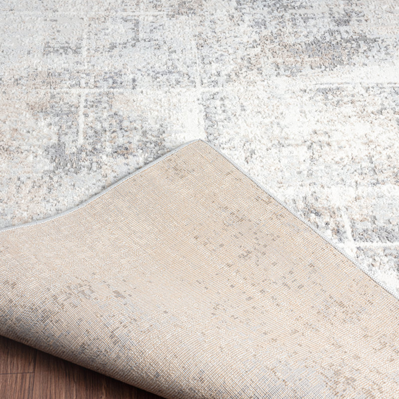 Miamiville Area Rug in Gray/Ivory, Rectangle 2' x 3'