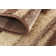 Cotati Abstract Indoor Rug