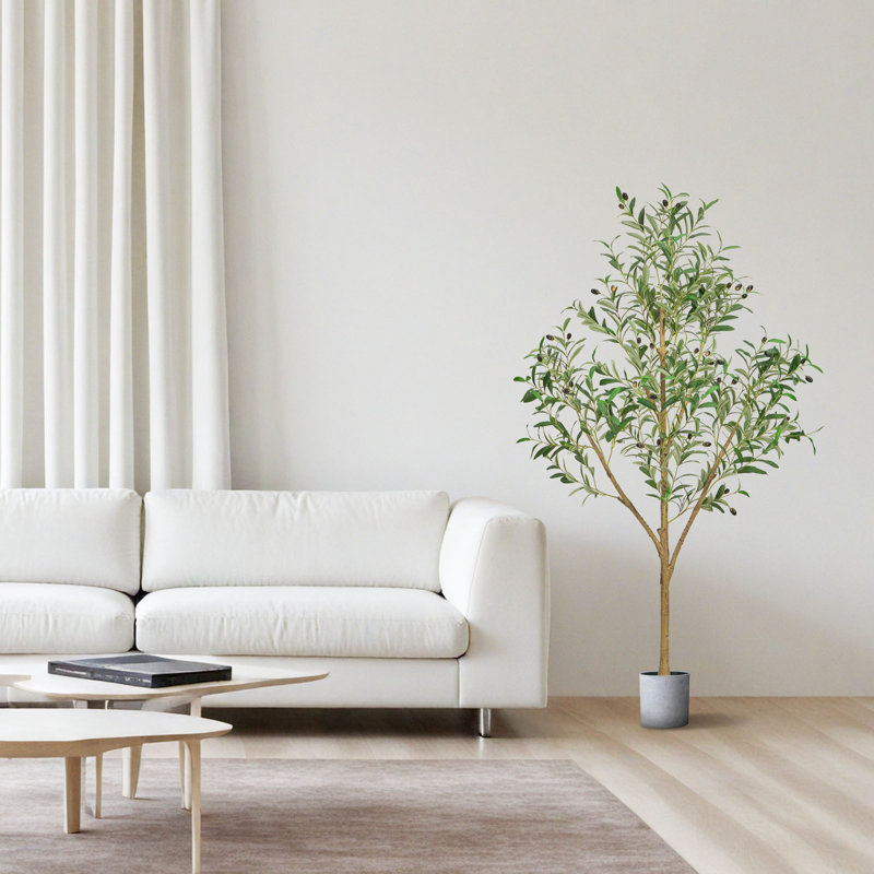Faux Olive Tree Tree in Pot, 152.4cm H x 73cm W x 73cm D