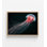 Jellyfish Drift - reproduction encadrée de photographie océanique