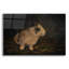  «Resting Bunny Rabbit 1» par Marian Parsons, art mural en verre acrylique, 24 po x 16 po-1975923596