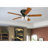 Rosenblatt 52'' Ceiling Fan with Light Kit-29587320-50118209