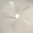 Karlena 52'' Modern Large Ceiling Fan With Led Lights And Remote Control, App, Timer, Memory-1614833760