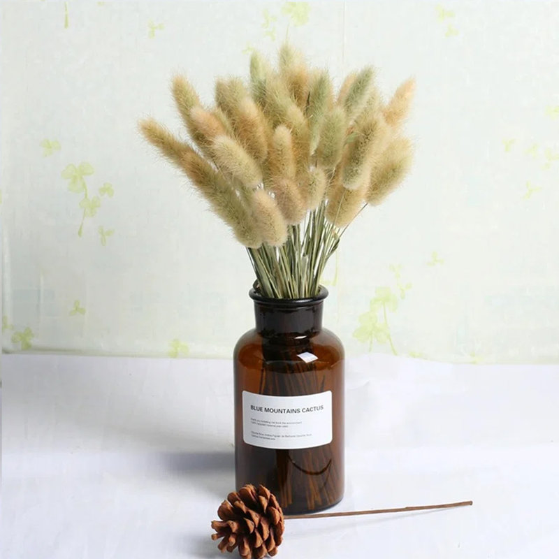Preserved Lagurus Ovatus Arrangement, Natural
