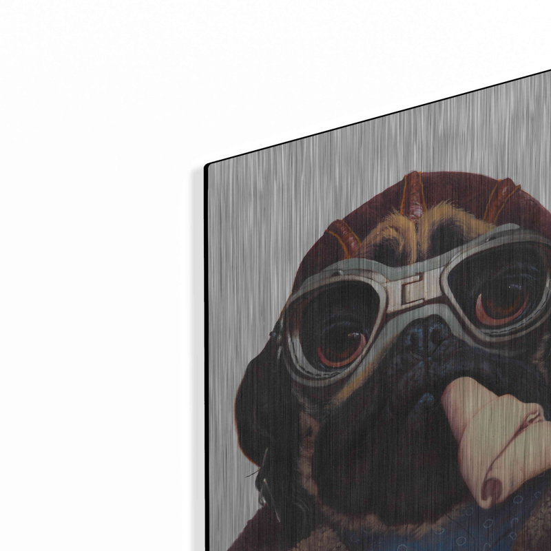 «Aviator Pug» par Thomas Fluharty, H 24 po x l 16 po