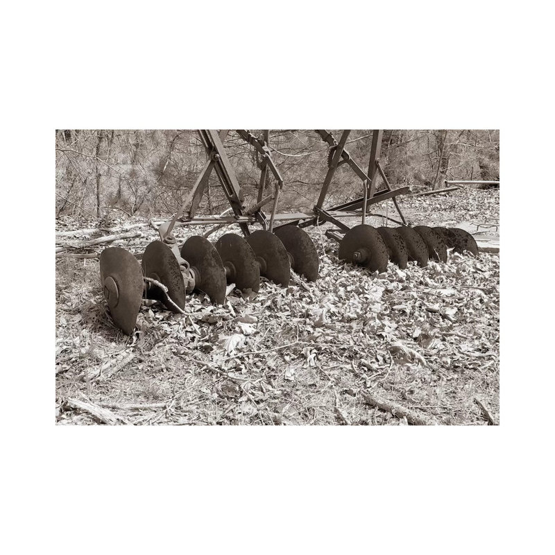 Sepia Farm Study III by Alicia Ludwig - Wrapped Canvas Print, 30.48cm H x 45.72cm W x 1.91cm D