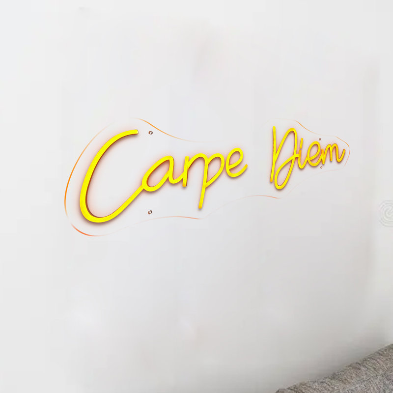 Enseigne néon Carpe Diem - 8 po x 28 po