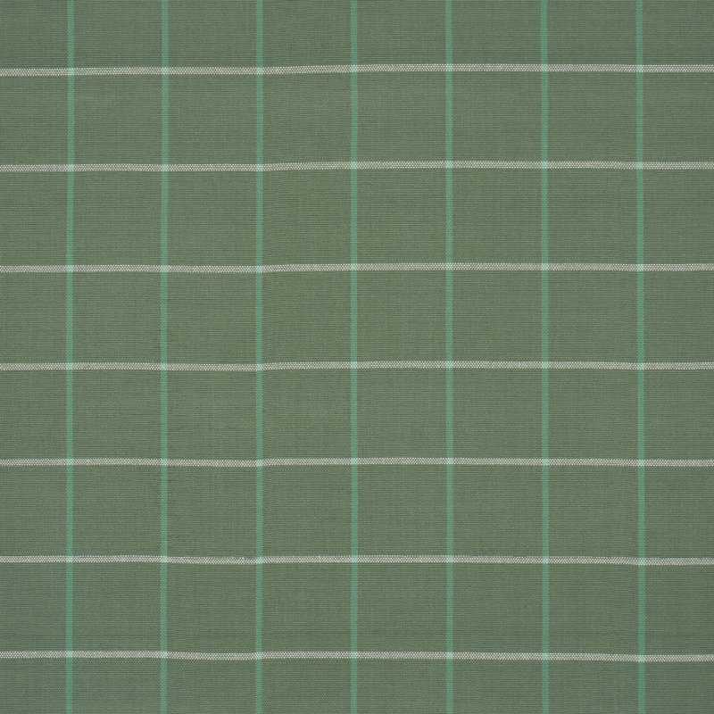 Tissu pour fenêtre Schumacher x Mark D. Sikes Frannie, Vert