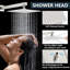 Robinet de douche en nickel brossé avec robinet de douche thermostatique 8 po