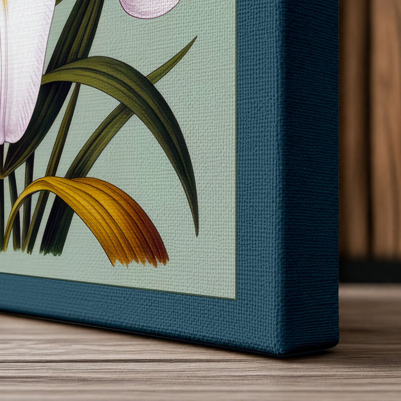 White Lily Study Botanical - Wrapped Canvas, 30x20 - 76.2 x 50.8 cm, Teal Border