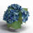Hydrangea in Vase-1925525977