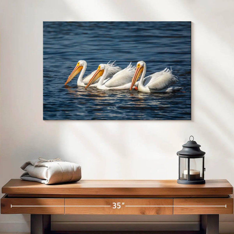 Brampt Ding Darling White Pelicans, 16" H x 24" W