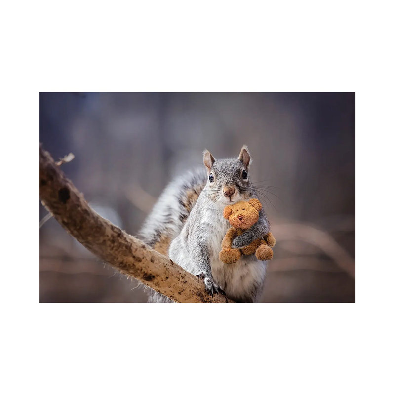 My Bear by Karen Burke - Wrapped Canvas Gallery-Wrapped Canvas Giclée, 20.32cm H x 30.48cm W
