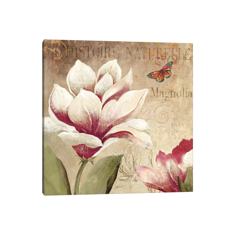 Magnolia - Wrapped Canvas Print, 93.98 cm H x 93.98 cm W x 3.175 cm D