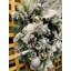 Couronne de chlorure de polyvinyle 24 po