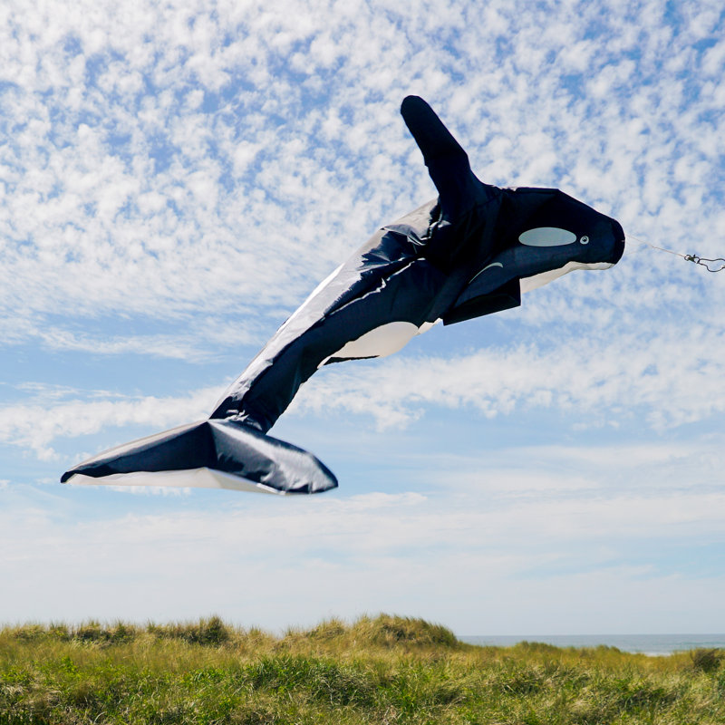 Manche à air Orca, H 54 po x l 16,5 po