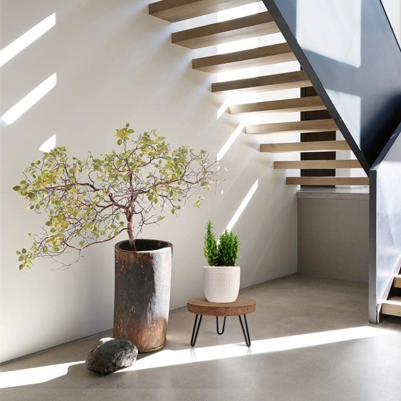 Plant Stand