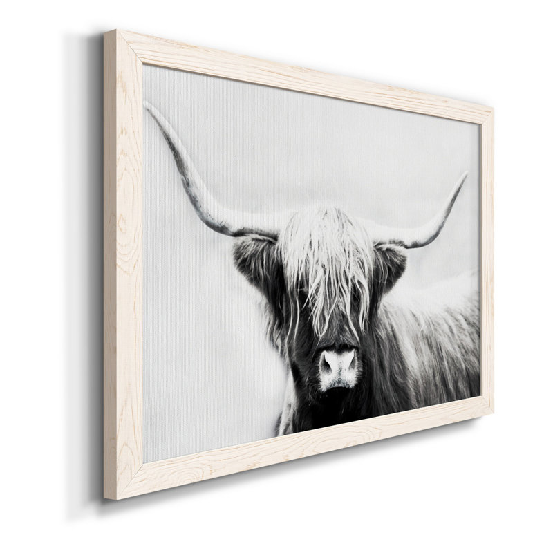 Highland Longhorn - Cadre flottant, reproduction de photo sur toile, Toile blanche encadrée, H 20 po x l 17 po x P 1,5 po