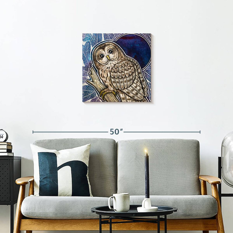 Crowle Barred Owl On Fir Tree