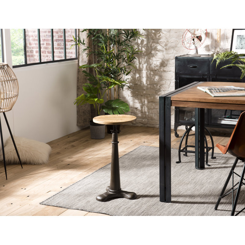 Seaton Swivel Adjustable Height Counter Stool with Metal Frame