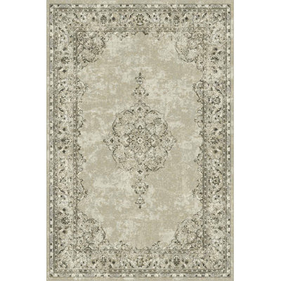 Oriental Area Rug