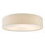 Derbyshire Plastic Flush Mount-1439351822