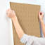 Papier peint Sestrières-105953931