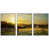 White Floater Framed