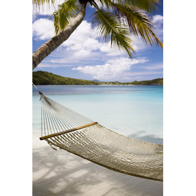 Hammock and Palm Tree by Cdwheatley