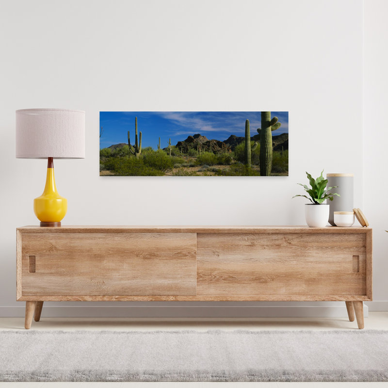 Cactus sur un paysage, désert de Sonora, orgue, cactus, Monument national, Arizona, États-Unis, H 12 po x l 36 po