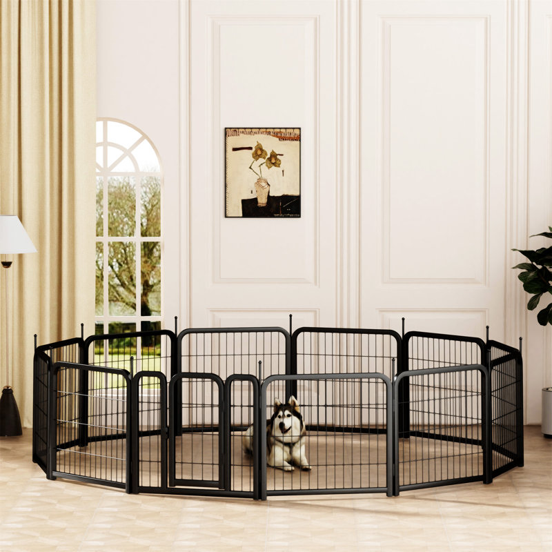 Parc pour chien extérieur