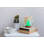 Mini lampe à sel 2 lb Schutz