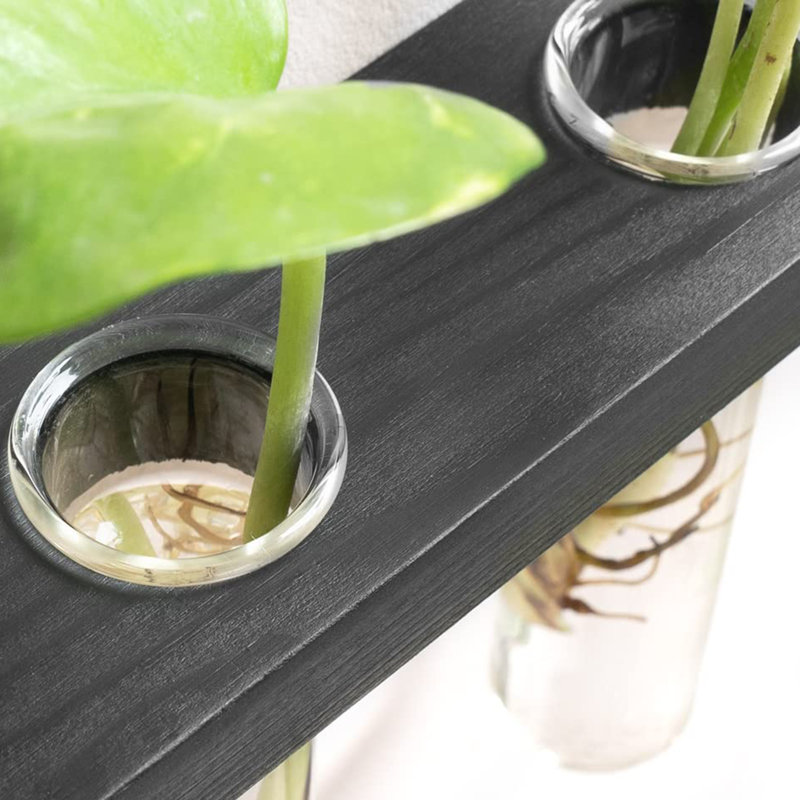 Terrarium mural à 3 niveaux avec support en bois, Noir, noir, noir, noir
