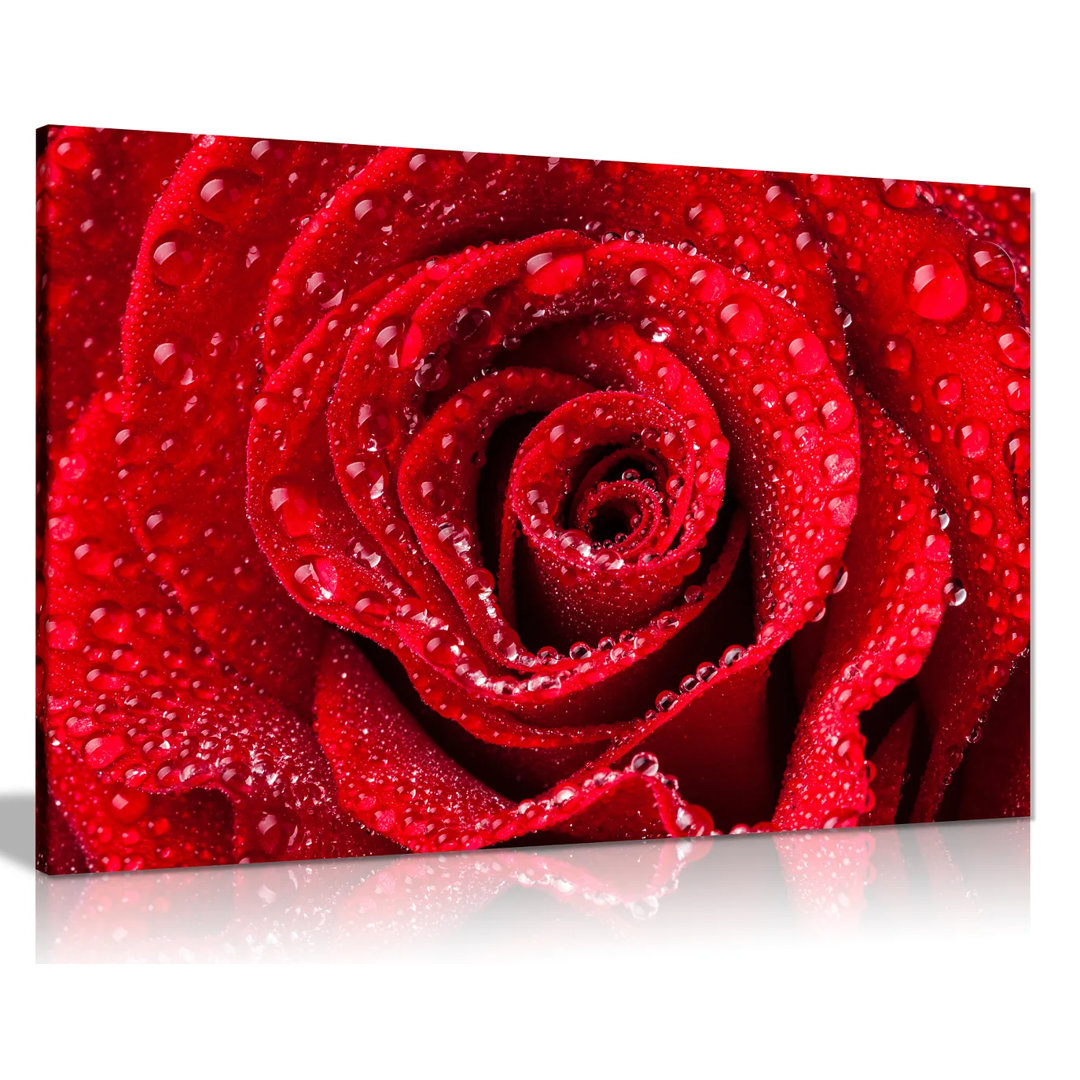 Dew Water Drops - Wrapped Canvas Photograph